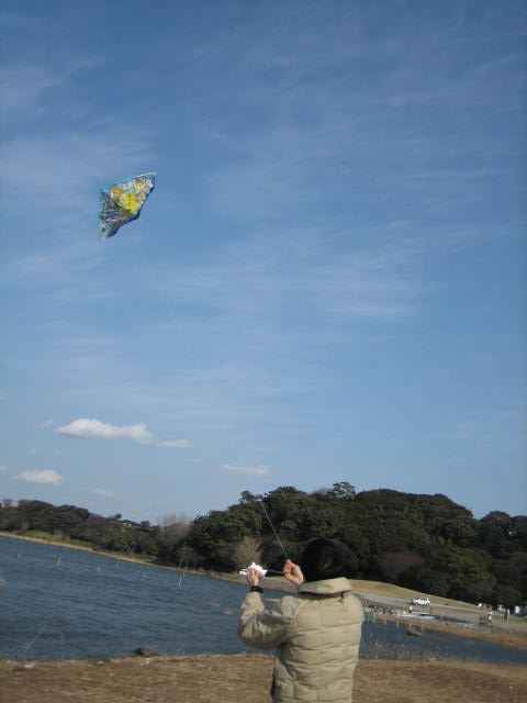 flying kite - chikyu-biyori style JAPAN